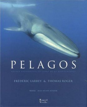 Pelagos: Voyage Naturaliste au Large de la Méditerranée