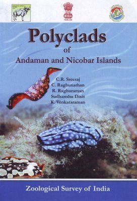 Polyclads of Andaman and Nicobar Islands