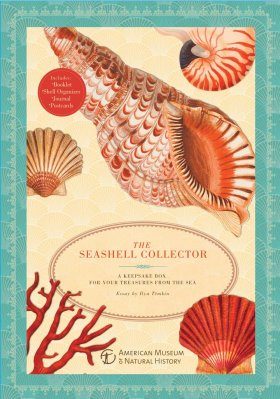 The Seashell Collector