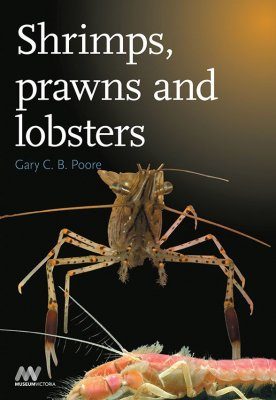 Shrimps, Prawns and Lobsters