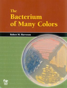 The Bacterium of Many Colors