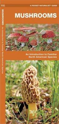 Mushrooms: An Introduction to Familiar North American Species