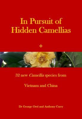 In Pursuit of Hidden Camellias