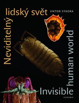 Neviditelný Lidský Svět / Invisible Human World