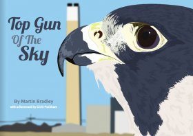 Top Gun of the Sky