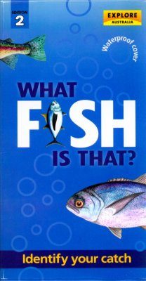 What Fish is That?