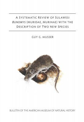 A Systemic Review of Sulawesi Bunomys (Muridae, Murinae) With the Description of Two New Species