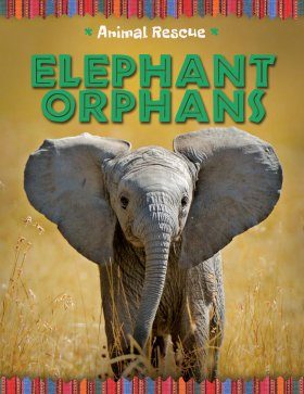Elephant Orphans