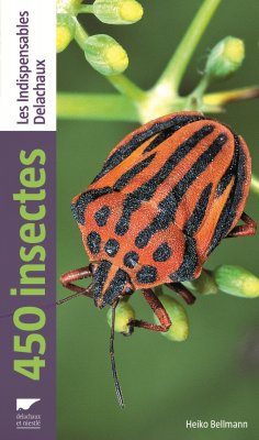 450 Insectes