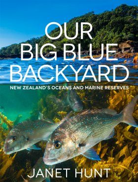 Our Big Blue Backyard