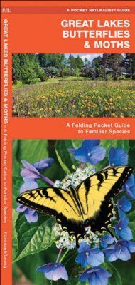 Great Lakes Butterflies & Moths