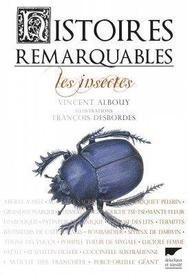 Histoires Remarquables: Les Insectes