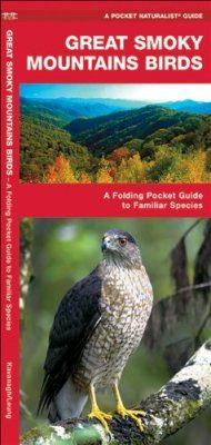 Great Smoky Mountains Birds