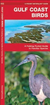 Gulf Coast Birds