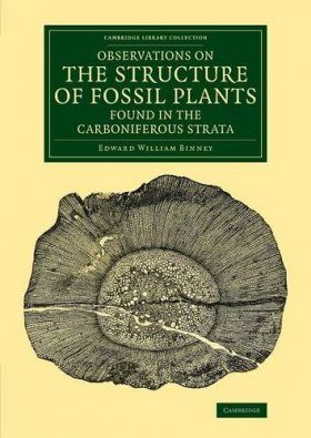 Observations on the Structure of Fossil Plants Found in the Carboniferous Strata