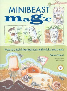 Minibeast Magic