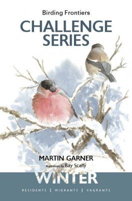 Challenge Series: Winter