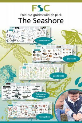 FSC Wildlife Pack 2: The Seashore