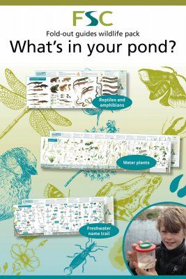 FSC Wildlife Pack 6: What is in your Pond?