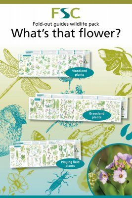FSC Wildlife Pack 8: What's that Flower?