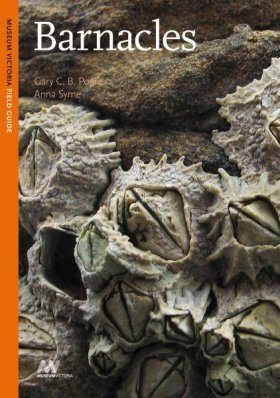 Barnacles: A Museum Victoria Field Guide to Marine Life
