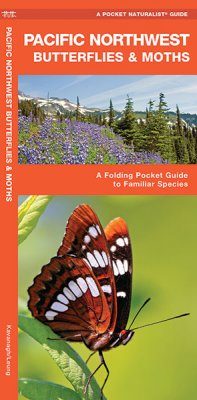 Pacific Northwest Butterflies & Moths