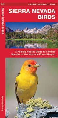 Sierra Nevada Birds