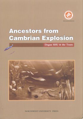 Ancestors from Cambrian Explosion