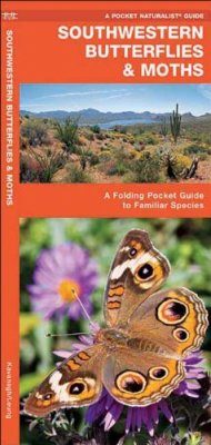 Southwestern Butterflies & Moths