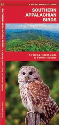 Southern Appalachian Birds