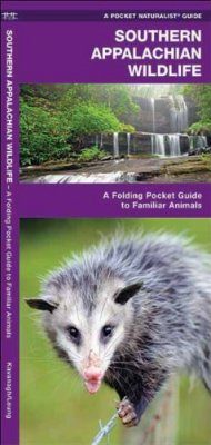 Southern Appalachian Wildlife