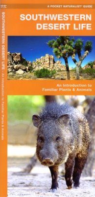 Southwestern Desert Life