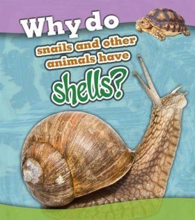Why Do Snails and Other Animals Have Shells?