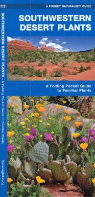 Southwestern Desert Plants