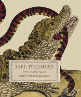 Rare Treasures