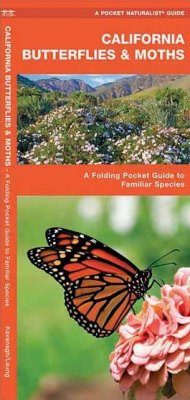 California Butterflies and Moths