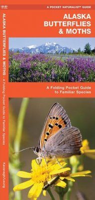 Alaska Butterflies & Moths