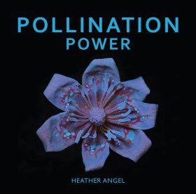 Pollination Power