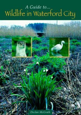 A Guide to Wildlife in Waterford City