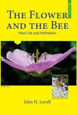 The Flower and the Bee