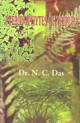Pteridophytes of Tripura