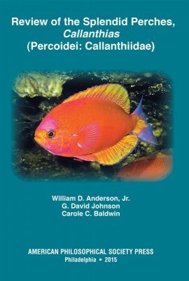 Review of the Splendid Perches, Callanthias (Percoidei: Callanthiidae)