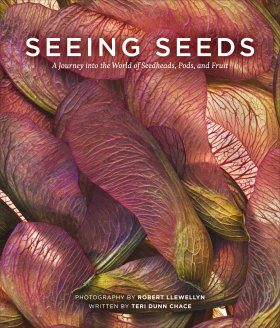 Seeing Seeds