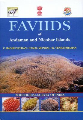 Faviids of Andaman and Nicobar Islands