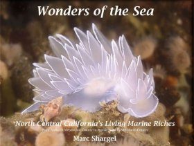 Wonders of the Sea, Volume 1: North Central California's Living Marine Riches