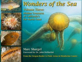 Wonders of the Sea, Volume 3: Hidden Treasures of California's Far North Coast
