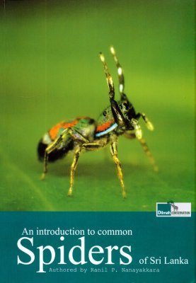 An Introduction to Common Spiders of Sri Lanka