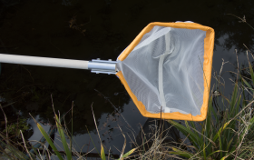 Amphibian (Newt) Net
