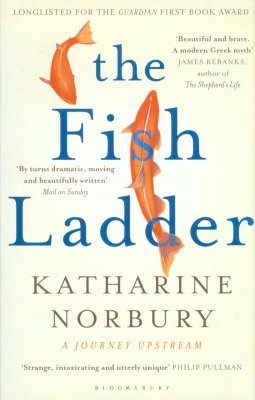 The Fish Ladder