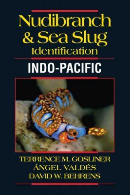 Nudibranch & Sea Slug Identification: Indo-Pacific